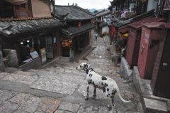 澳门威尼斯人赌城网址_澳门威尼斯人赌城网站_澳门威尼斯人赌城官网_是年轻人